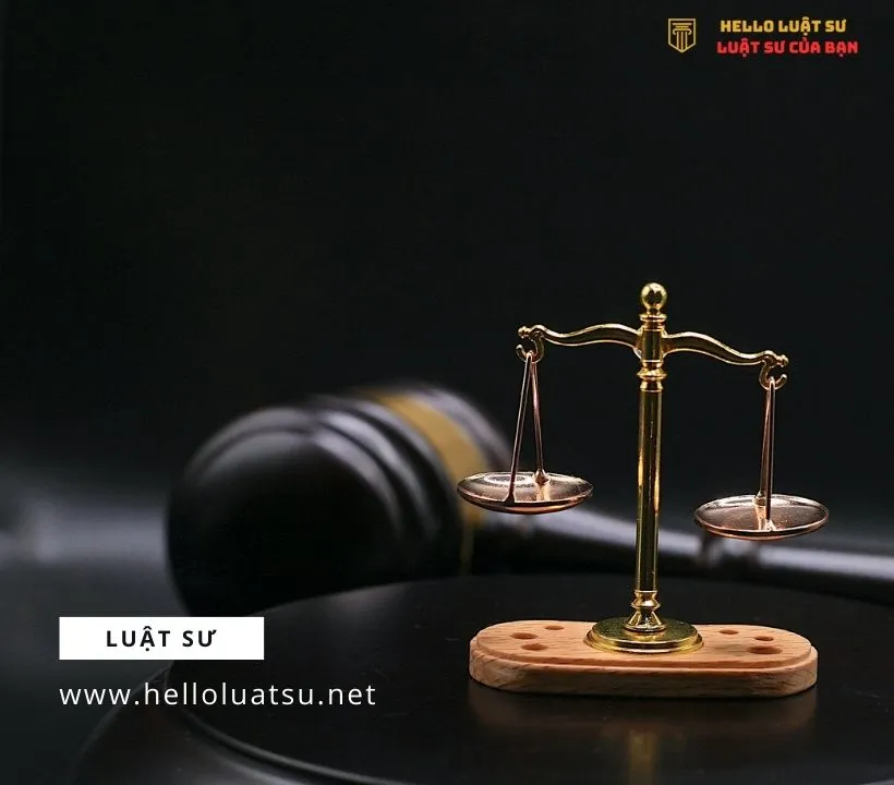 Dịch vụ luật sư hợp đồng