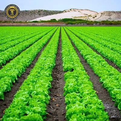 Thông tin liên hệ và địa chỉ Tòa án nhân dân huyện Thạnh Trị Sóc Trăng 2025