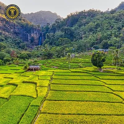 Thông tin liên hệ và địa chỉ Tòa án nhân dân huyện Thới Bình, Cà Mau 2025